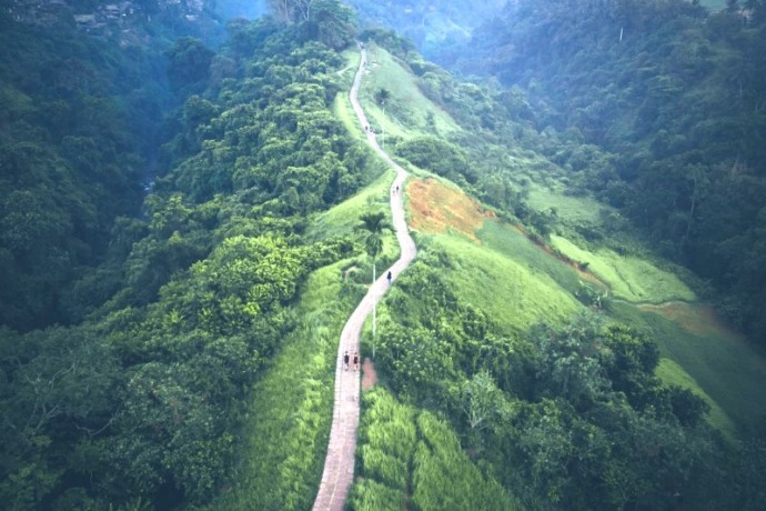 Hutan Indonesia Foto_ Pexels