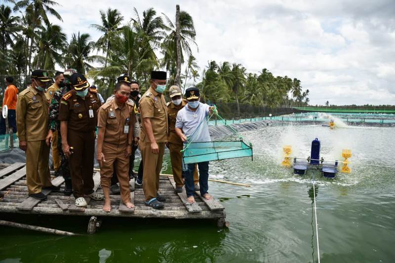 Gubernur Kalteng H Sugianto Sabran saat panen hasil tambak petani ikan di Kabupaten Sukamara