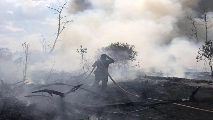 Petugas BPBD Kabupaten Kotim tengah berjibaku memadamkan api Karhutla, belum lama ini. (BPBD UNTUK KALTENGPOS)