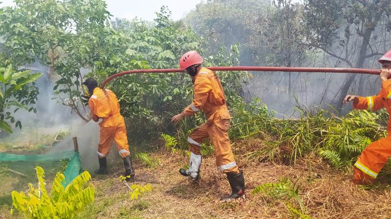 Kebakaran Lahan di Sungai Undang Hampir Mendekati Perkantoran