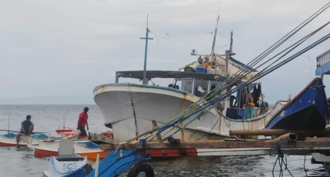 dislutkan kalteng