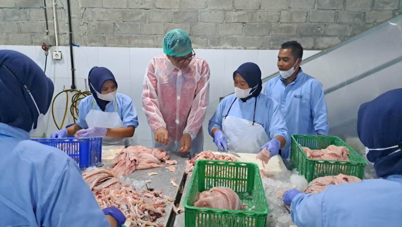 dislutkan kalteng