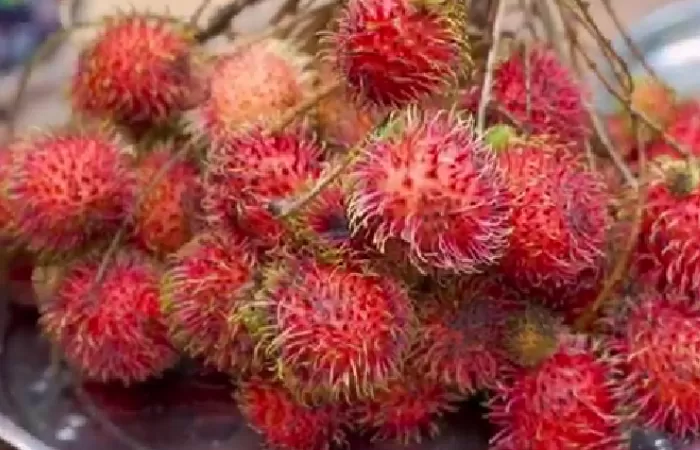 Buah Rambutan