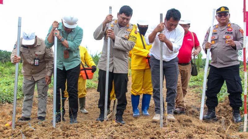 tanam jagung seruyan