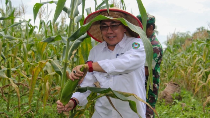 Asisten II Setda Seruyan, Adhian Noor saat ikut panen raya jagung di Desa Bangun Harja, Kecamatan Seruyan Hilir Timur, Rabu (26/2). (Foto : Prokom Seruyan)