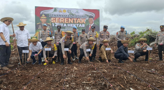 Polda Kalteng melakukan penanaman jagung serentak 1 juta hektare di lahan seluas 1.200 hektare di Area Kelompok Tani Elea Farm, Desa Tumbang Talaken Km.62, Kelurahan Pager, Kecamatan Rakumpit, Kota Palangka Raya, Selasa (21/1). (POLDA KALTENG)