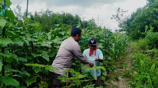 Pertanian di Kelurahan Petuk Barunai, Kecamatan Rakumpit pada Senin (17/2). (Humas Polresta)