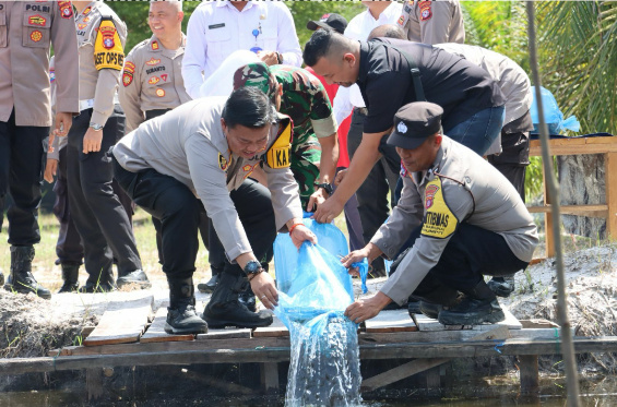 Kapolresta Palangka Raya, Kombes Pol Dedy Supriadi saat menebar benih ikan di kolam budidaya Polsek Rakumpit pada Rabu (19/2). (Humas Polresta)