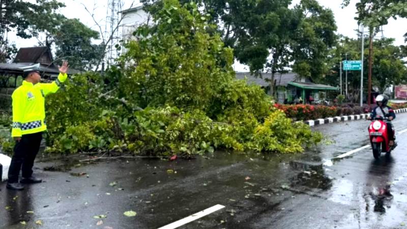 Polantas mengatur lalu lintas saat Tim Gabungan mengevakuasi pohon tumbang akibat diterjang angin kencang di Kota Kuala Pembuang awal bulan lalu. (FOTO : Polres Seruyan)