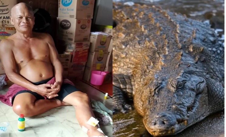 27_Buaya