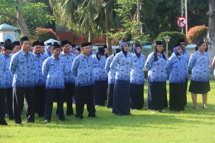 PNS