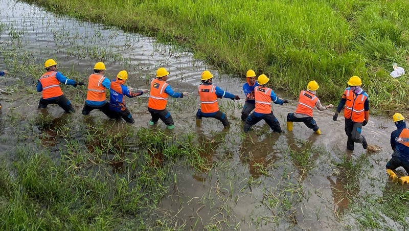 listrik pln