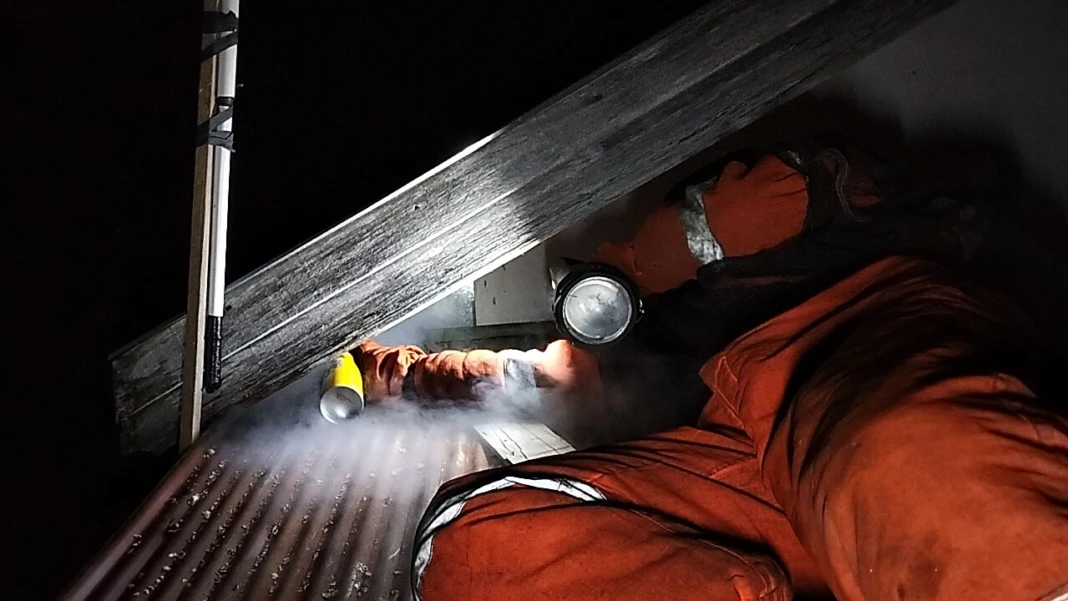 IMG-20260119-WA0016_copy_1280x720