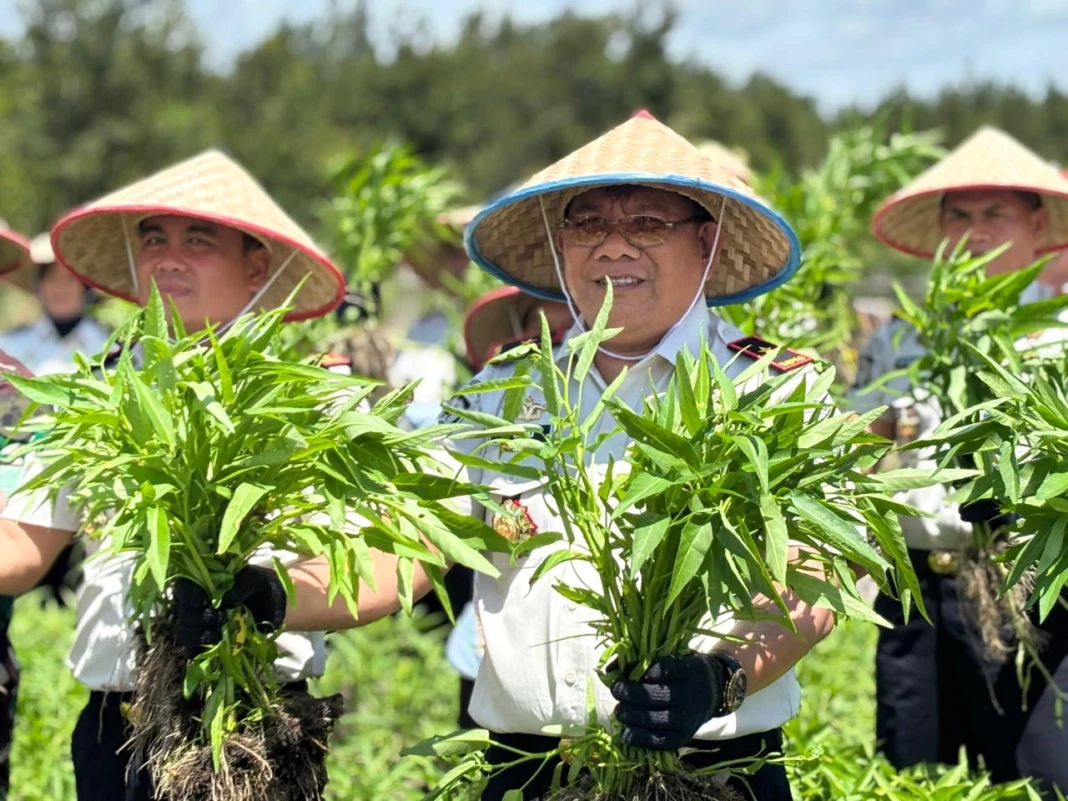 WhatsApp Image 2026-01-15 at 13.45.34