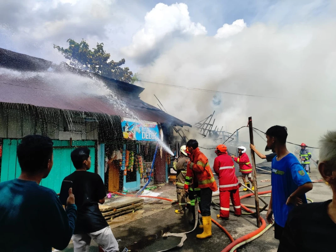 WhatsApp Image 2026-01-15 at 13.50.55