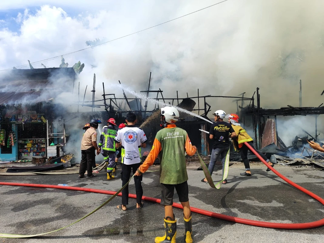 WhatsApp Image 2026-01-16 at 14.25.30