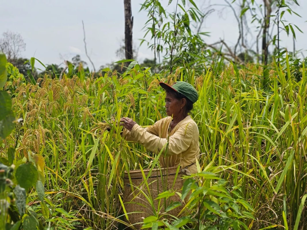 WhatsApp Image 2026-01-21 at 08.52.15