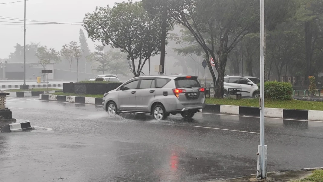 WhatsApp Image 2026-01-30 at 13.51.12