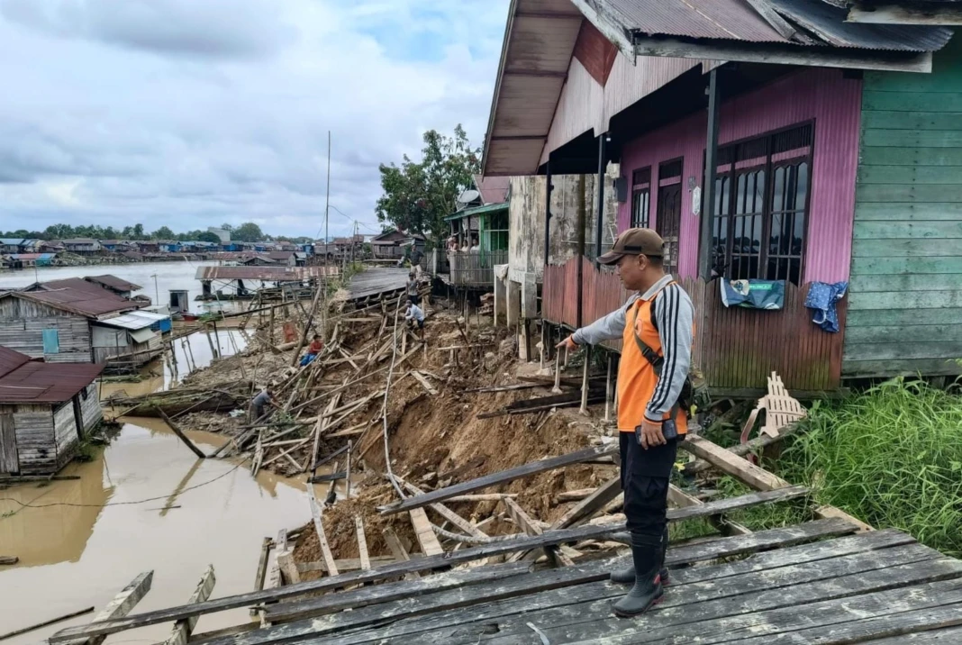 WhatsApp Image 2026-01-31 at 14.17.19