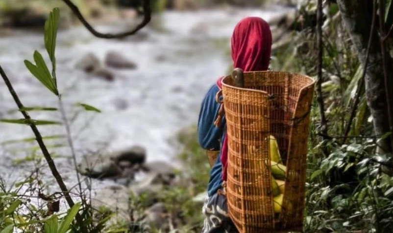 WhatsApp Image 2026-01-31 at 14.38.24