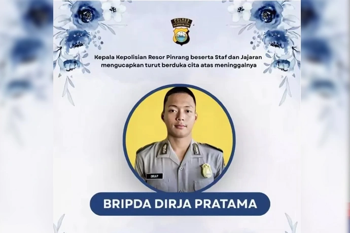 bribda DP