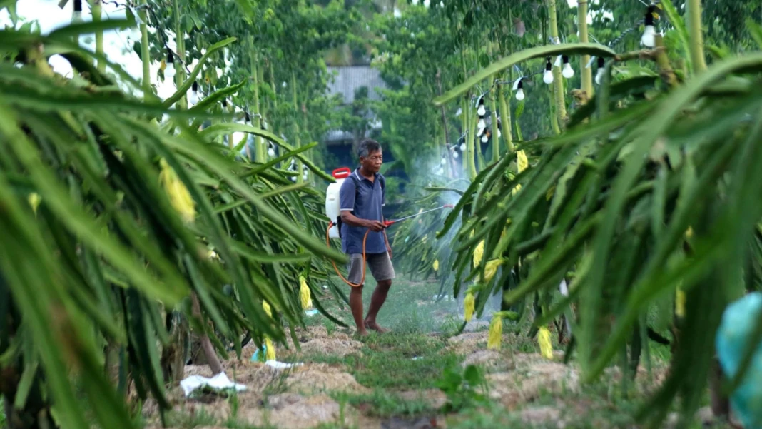 IMG-20260203-WA0064_copy_2396x1348