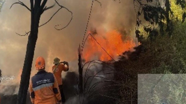 Dokumentasi BPB-PK Kalteng saat pemadaman Karhutla. (FOTO : BPB-PK)
