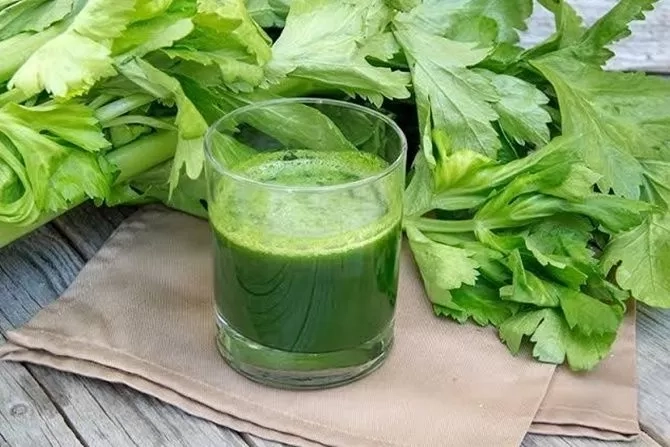 Jus Seledri untuk Kesehatan Tubuh. (Freepik)