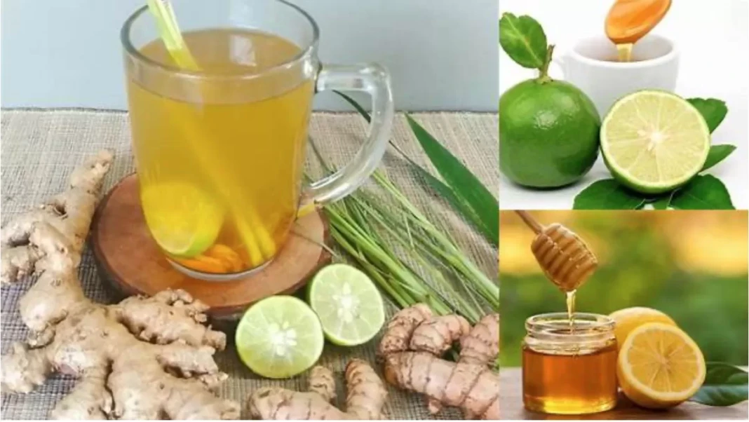 Minuman olahan jeruk nipis dan madu. (iainbukittinggi.ac.id)