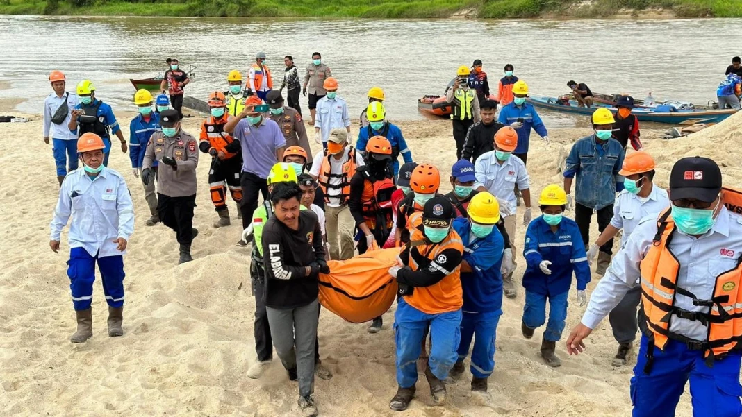 WhatsApp Image 2026-02-03 at 15.31.57