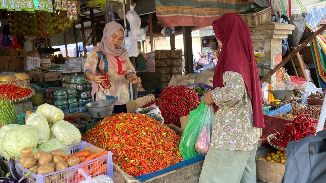 WhatsApp Image 2026-02-05 at 16.49.31