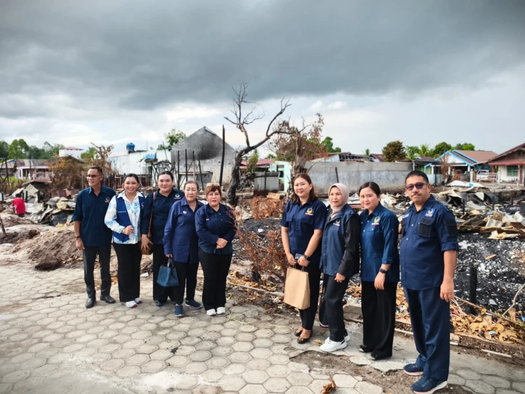 WhatsApp Image 2026-02-06 at 14.54.56