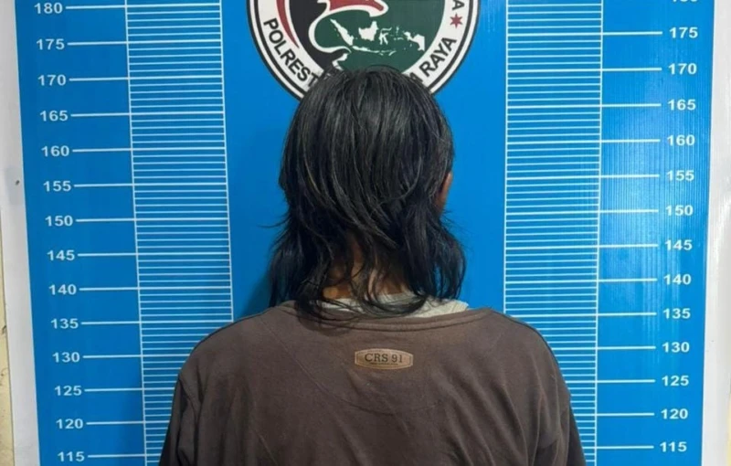 WhatsApp Image 2026-02-06 at 19.07.14