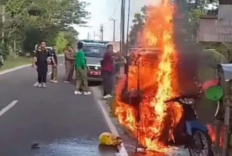 WhatsApp Image 2026-02-07 at 15.24.49