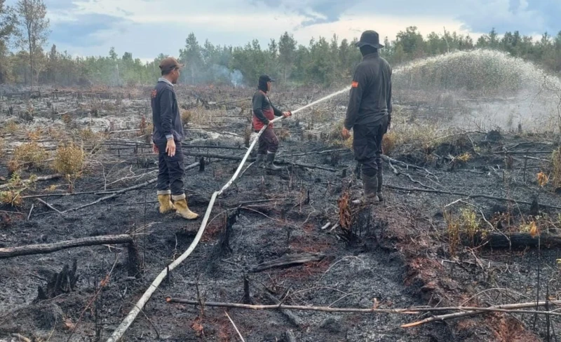 Kemarau 2026 Lebih Awal dan Kering, Kalteng Perketat Antisipasi Kebakaran Hutan dan Lahan