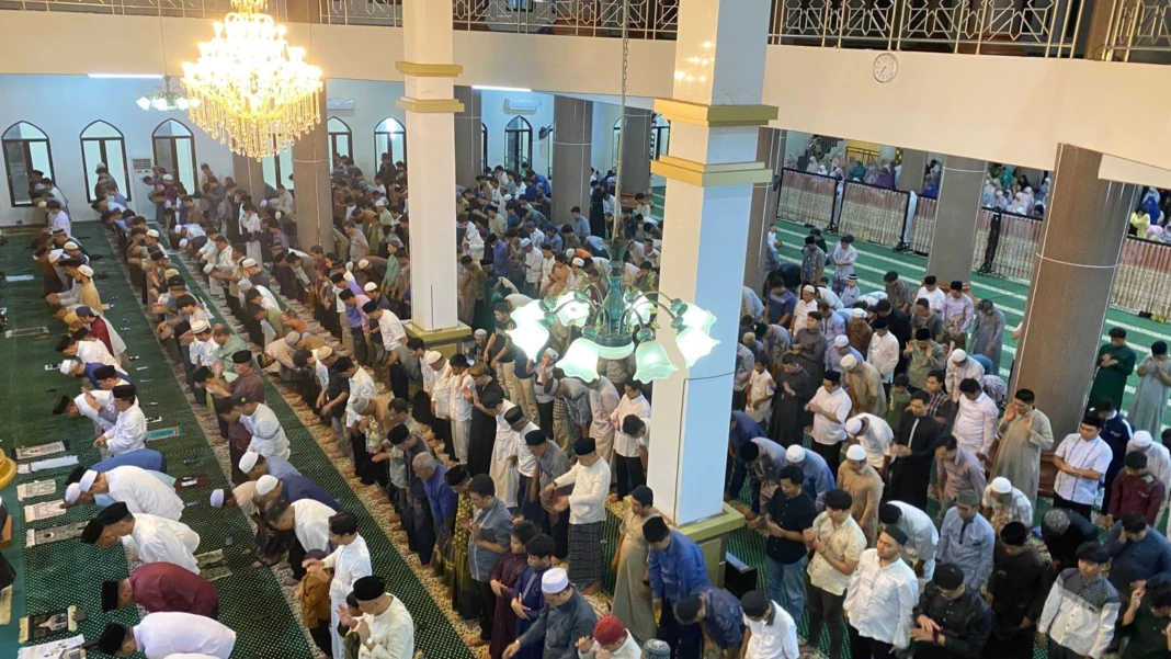 WhatsApp Image 2026-02-17 at 20.50.55