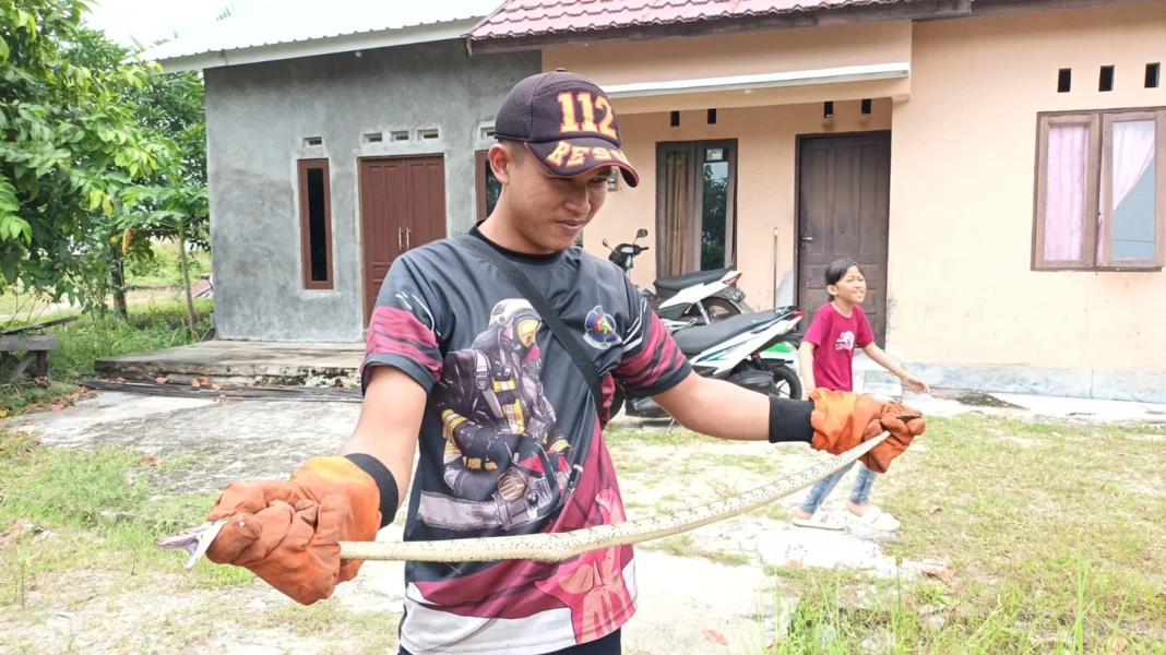 WhatsApp Image 2026-02-18 at 09.18.26