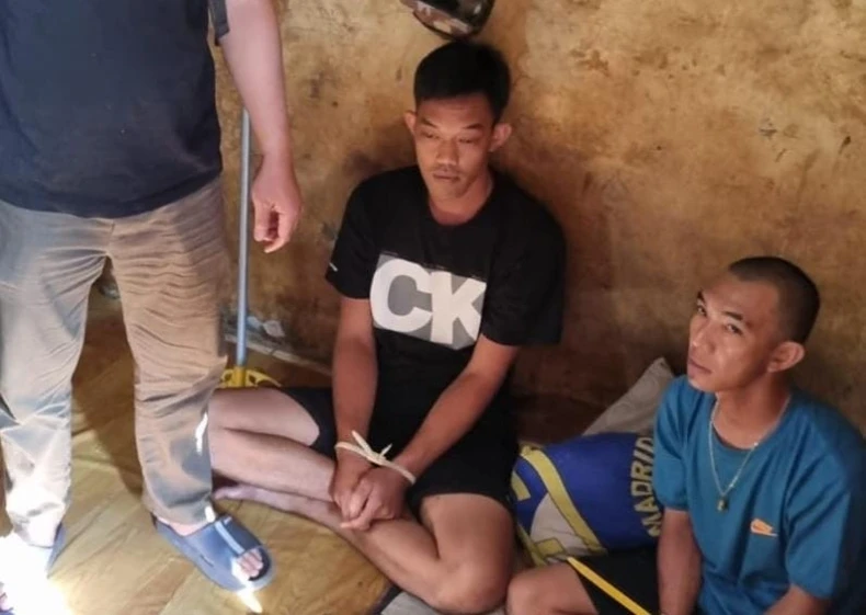 1c916a82-6885-4ddc-80d6-c744a46f0fc7