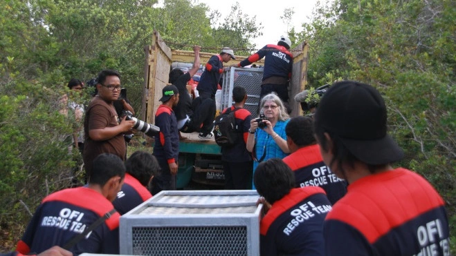 25_Bupat Kobar2