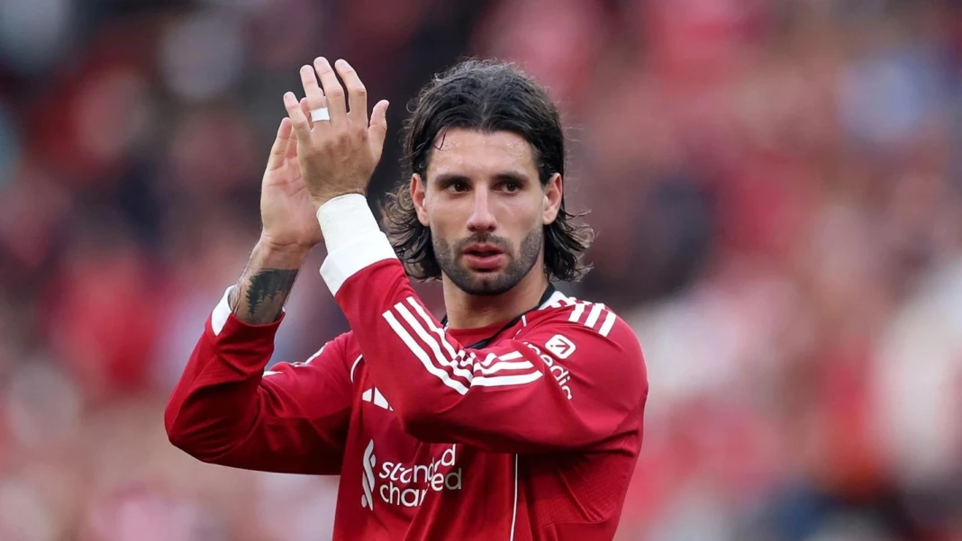 3354d0b2-6e62-43c2-a0c4-c90605976b50-3341824795