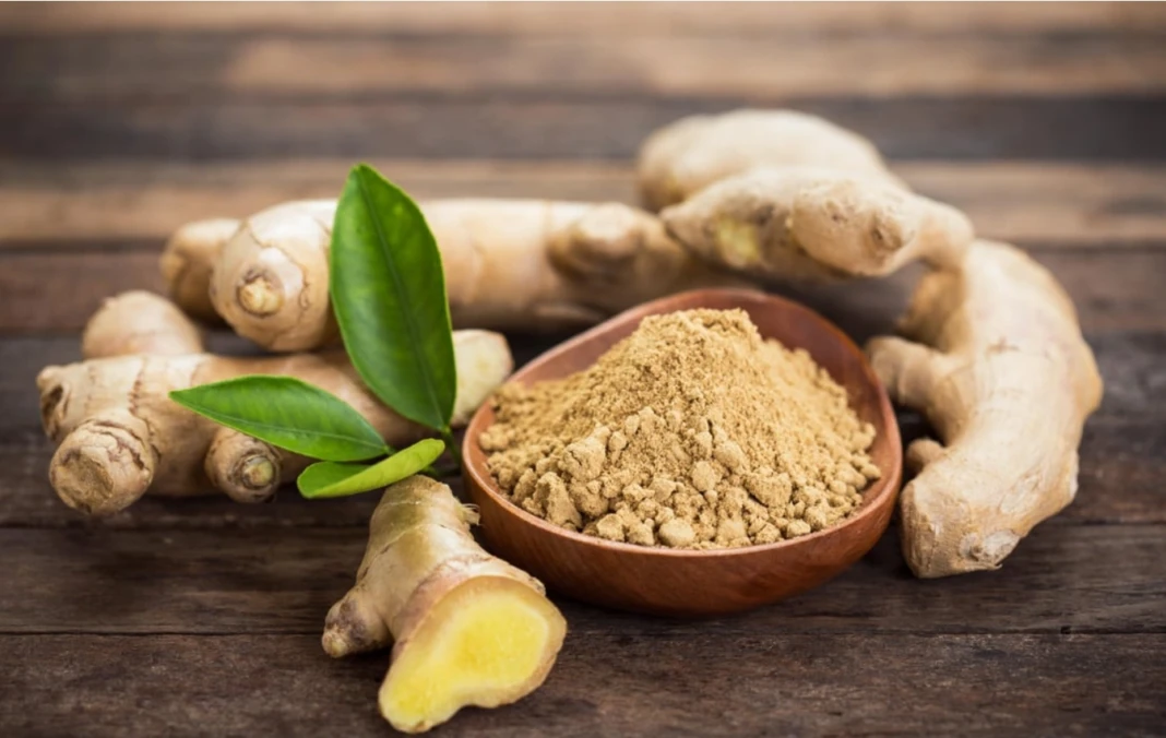 Tanaman jahe yang dapat digunakan sebagai obat herbal. (Simhcottumwa.org)