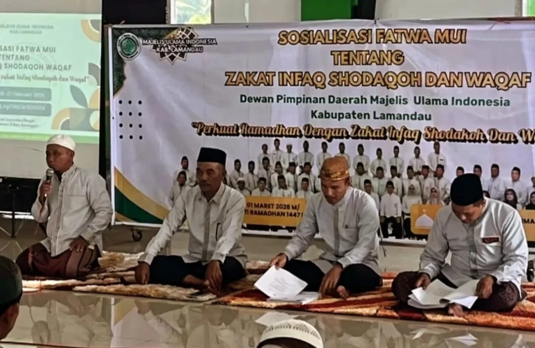 WhatsApp Image 2026-03-02 at 15.52.17