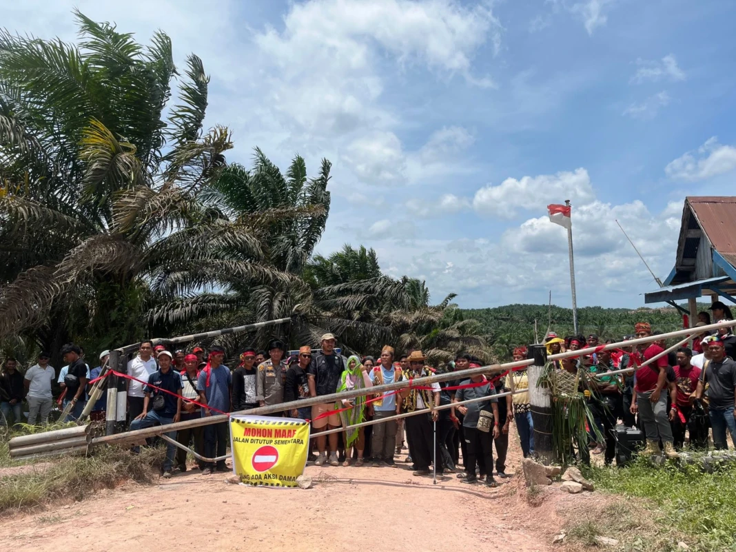 WhatsApp Image 2026-03-04 at 16.46.36