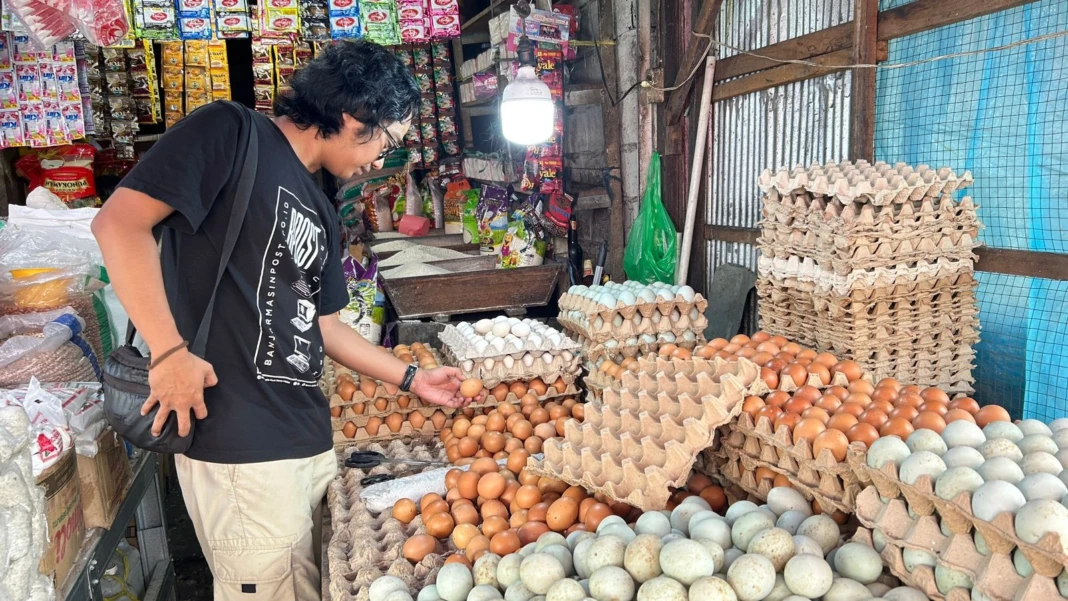 WhatsApp Image 2026-03-08 at 16.22.50