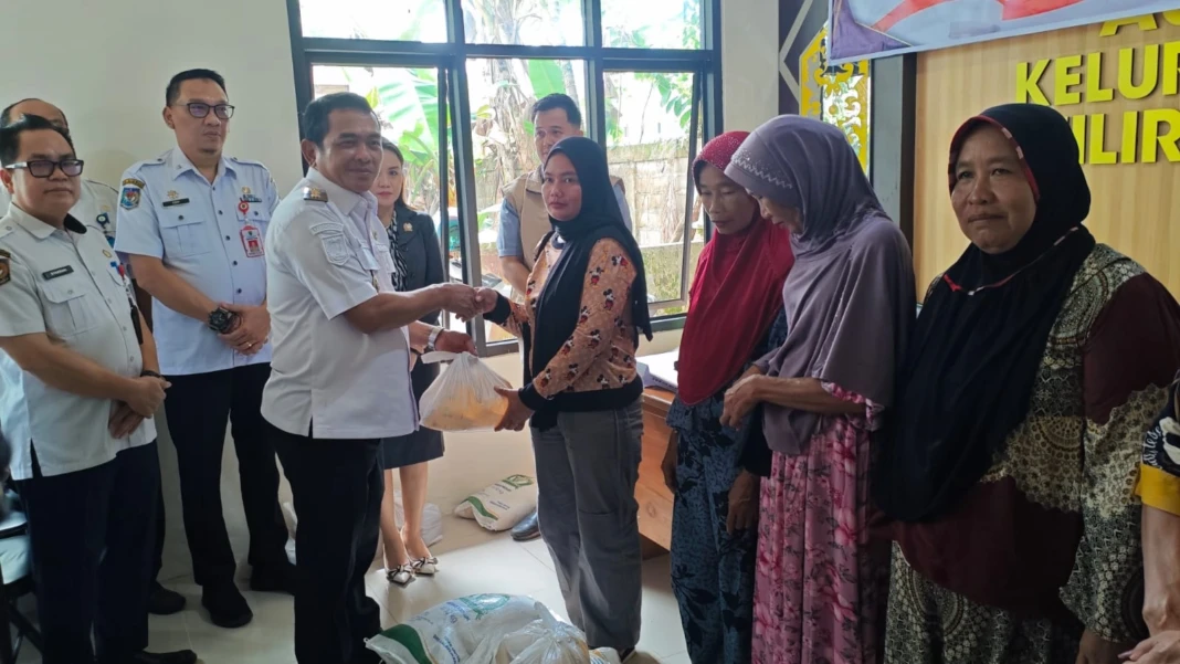 WhatsApp Image 2026-03-11 at 22.37.03