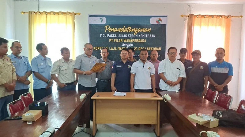 15_Koperasi