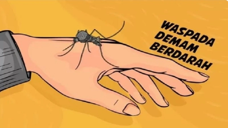 Bupati Lamandau Imbau Warga Waspadai Penyebaran Penyakit DBD Menjelang Musim Hujan