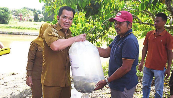 bupati pulpis salurkan bantuan
