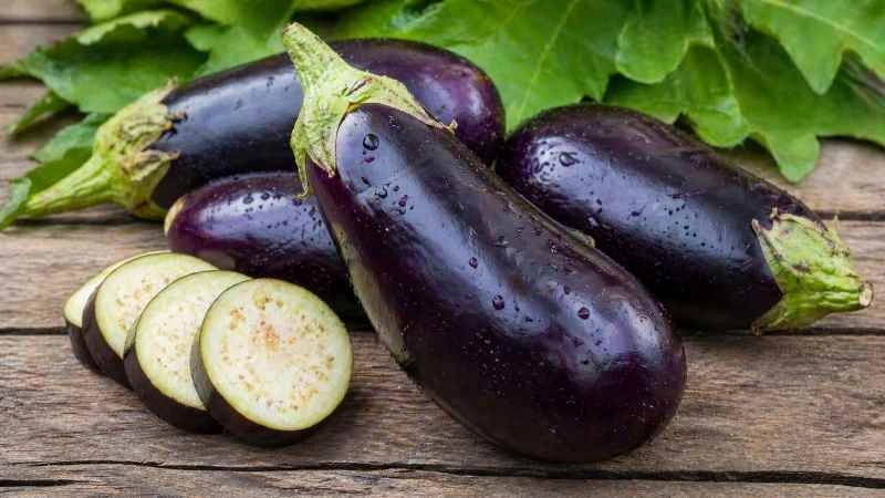 Terong dikenal sebagai sayuran kaya nutrisi yang sering diolah jadi sayur lodeh, tumis, hingga lalapan.