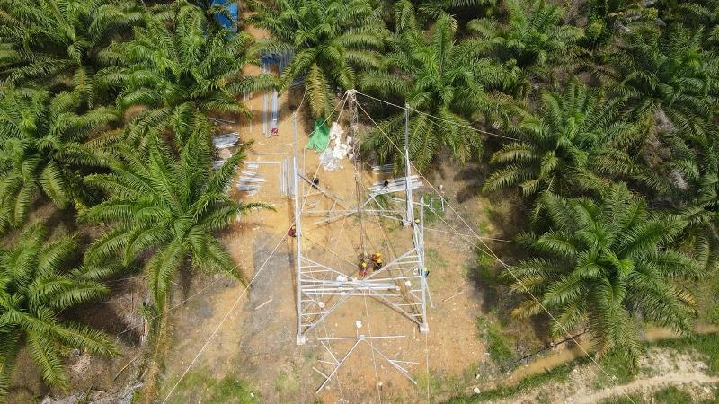PLN Ngebut Proyek SUTT Muara Wahau–Sangatta, Lahan Tower Dikejar